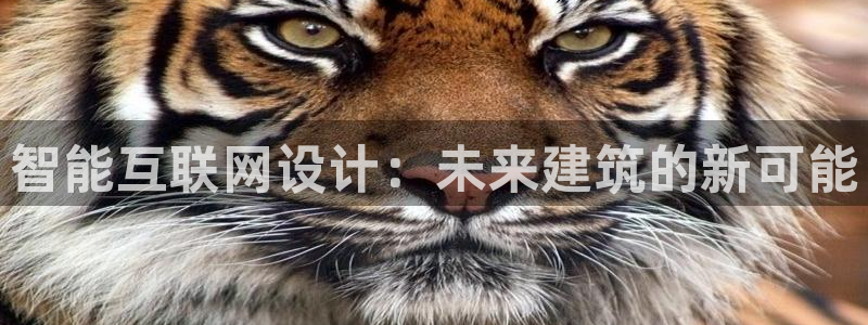时代先锋娱乐