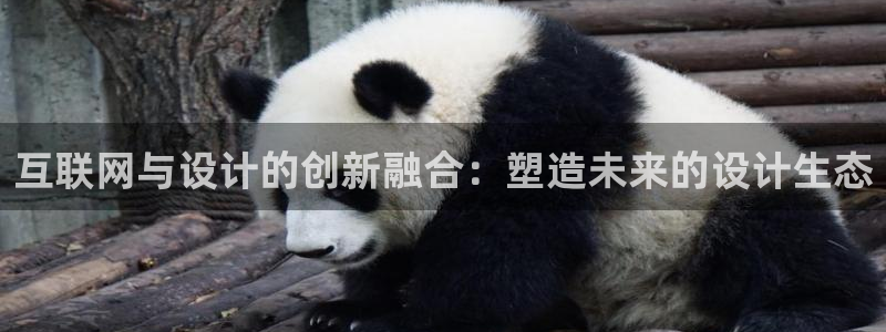 先锋娱乐管理集团