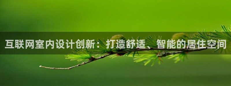 先锋电子车载娱乐系统
