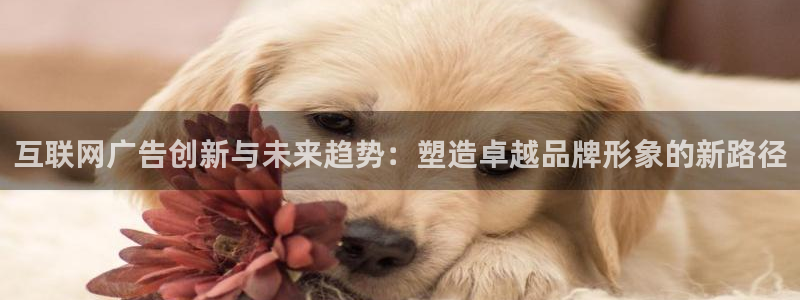 先锋娱乐挂