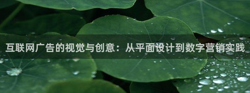 先锋娱乐管理集团