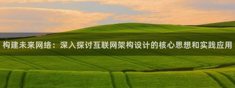 先锋娱乐官方：构建未来网络：深