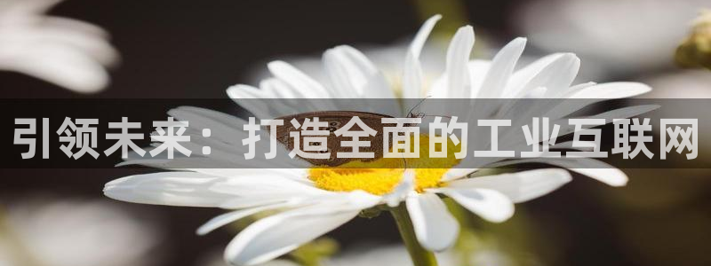 先锋方舟娱乐集团