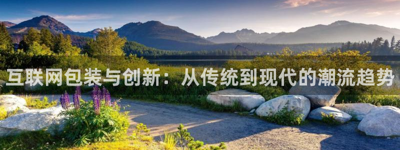 亚洲先锋娱乐登录：互联网包装与