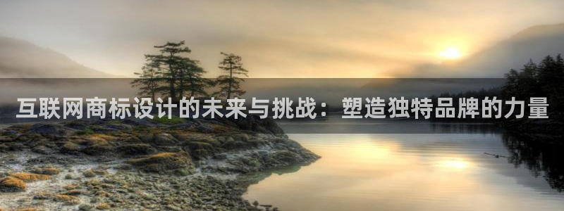 先锋电子旗下先锋娱乐：互联网商