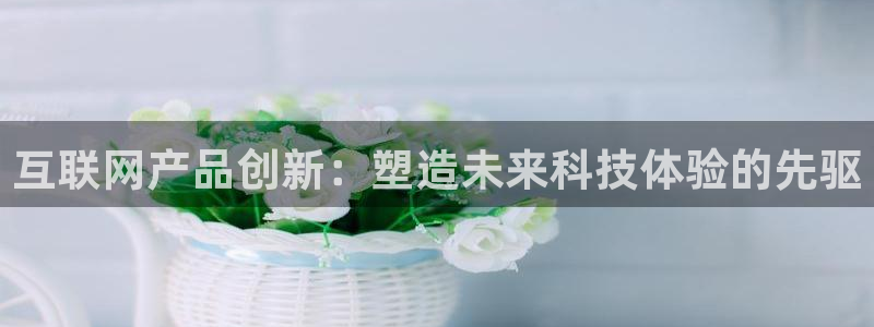 先锋队娱乐：互联网产品创新：塑