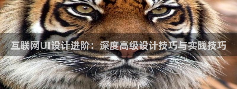 先锋娱乐游戏软件