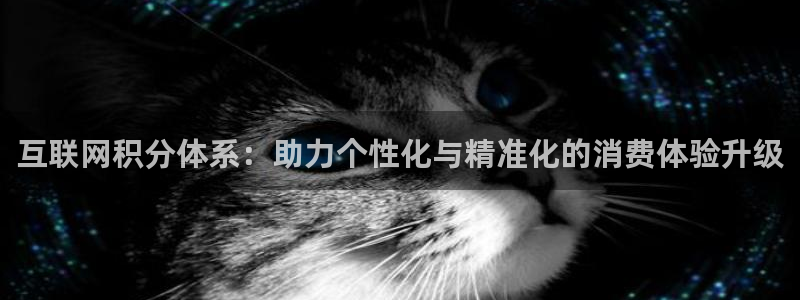 先锋娱乐入口：互联网积分体系：