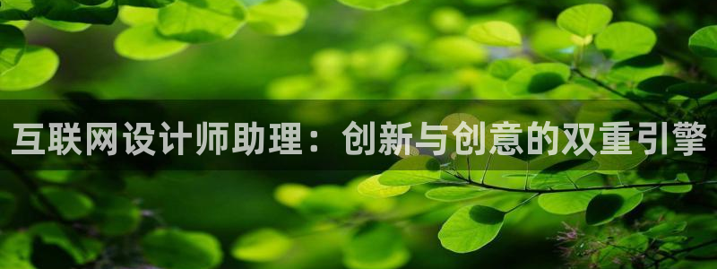 先锋娱乐棋牌：互联网设计师助理
