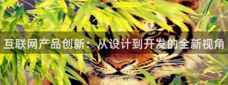 先锋综合娱乐