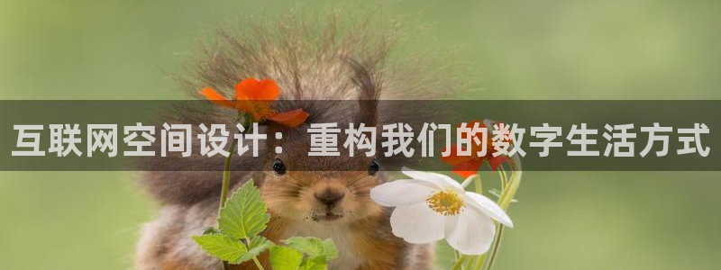 先锋娱乐管理集团招聘：互联网空