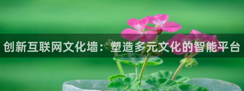先锋娱乐账号注册不了：创新互联
