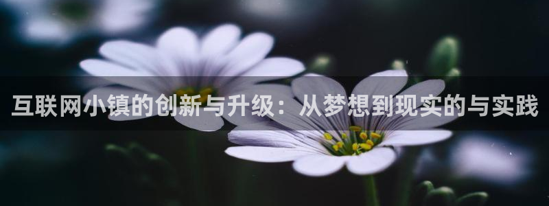先锋娱乐资讯官网入口