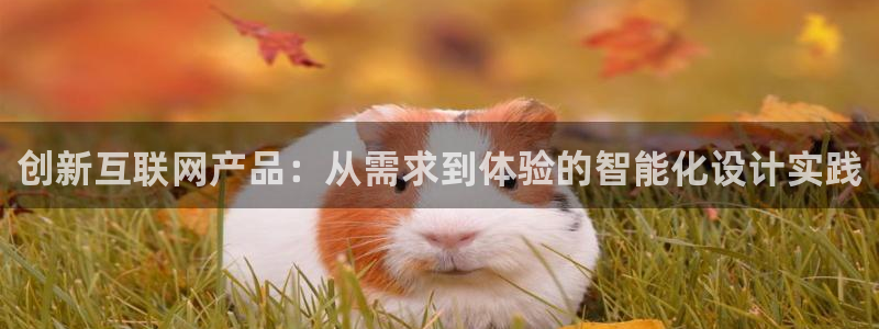 先锋娱乐软件：创新互联网产品：
