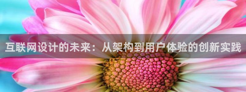 先锋娱乐汇：互联网设计的未来：