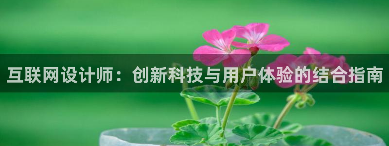 先锋娱乐转进去钱：互联网设计师