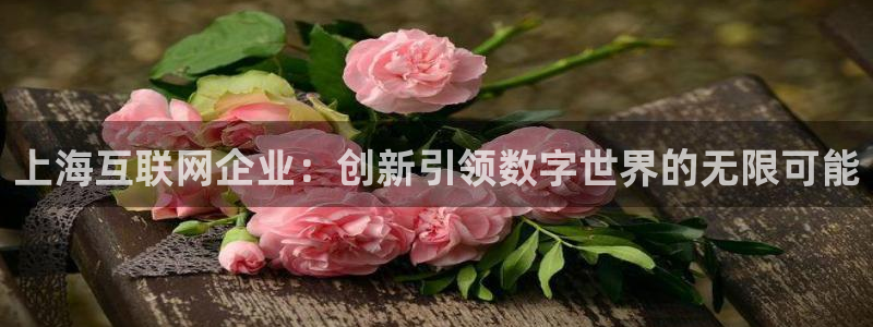 先锋娱乐大厅首页