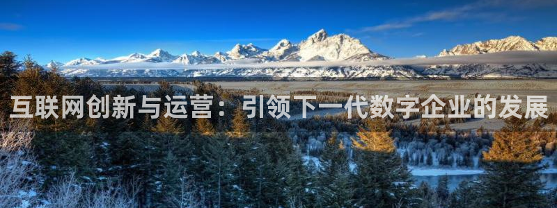 先锋娱乐电子游戏