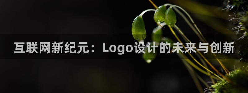 先锋娱乐邀请码多少