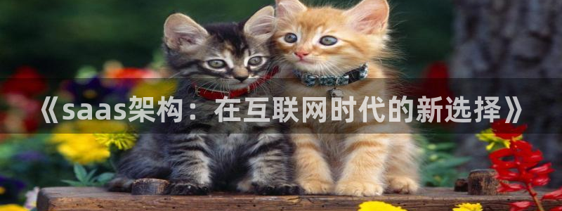 先锋娱乐大厅有挂吗