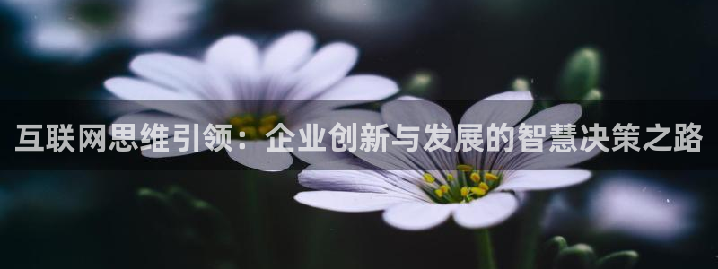 先锋娱乐管理集团怎么样