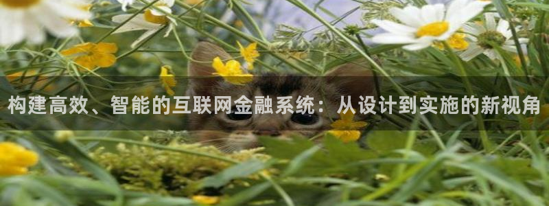 先锋娱乐垫付金额