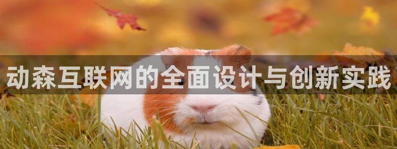 先锋娱乐电子游戏