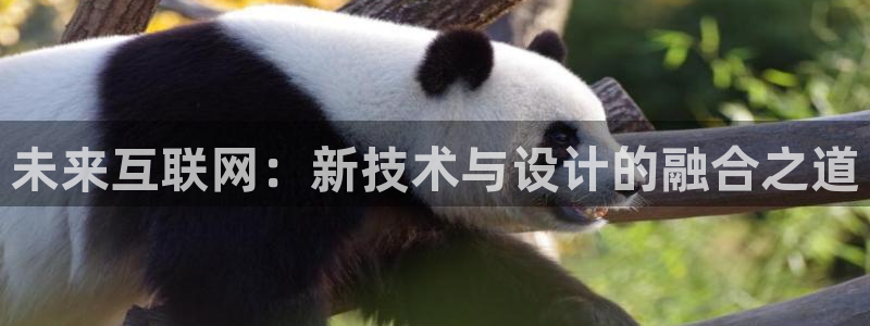 先锋娱乐大厅牛牛