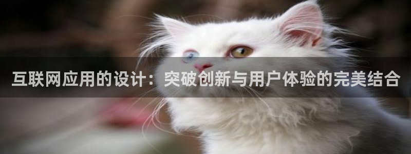 先锋娱乐管理集团招聘