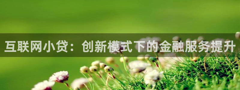 先锋娱乐挂：互联网小贷：创新模
