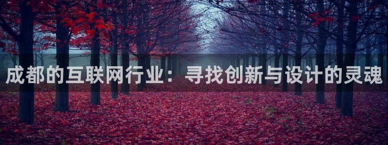 先锋综合娱乐：成都的互联网行业