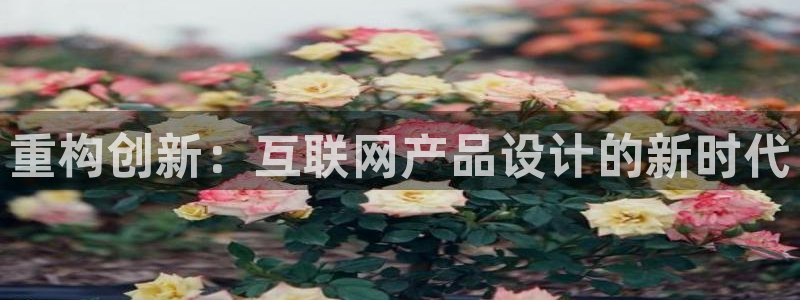 先锋电玩娱乐：重构创新：互联网