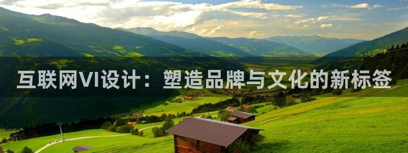 先锋娱乐集团：互联网VI设计：