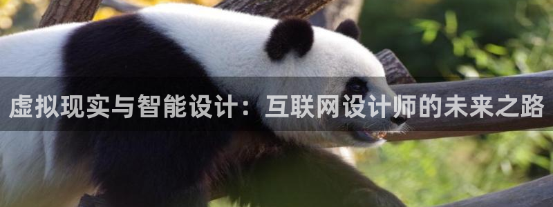 先锋娱乐简介图片：虚拟现实与智