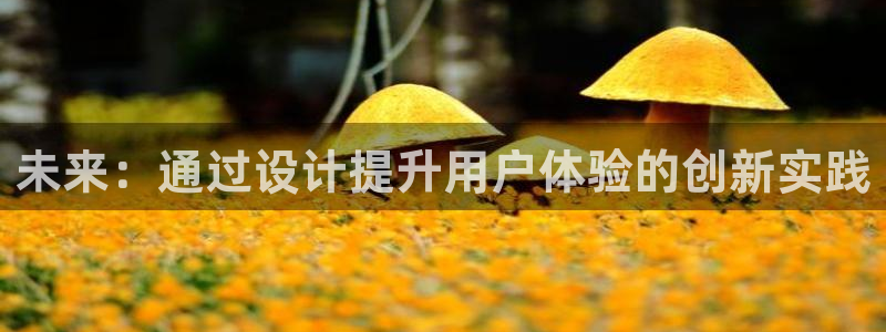 娱乐先锋捕鱼客服：未来：通过设