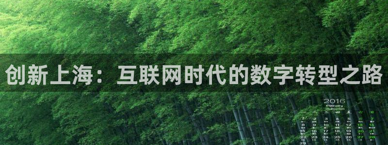 先锋娱乐剪辑：创新上海：互联网