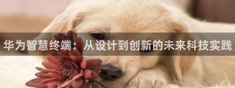 先锋支付娱乐城