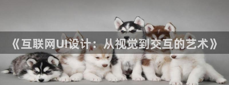先锋娱乐科技：《互联网UI设计
