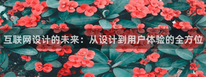 先锋娱乐：互联网设计的未来：从