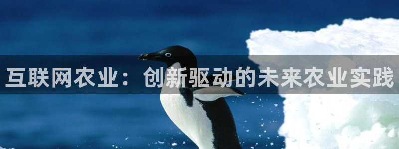 先锋电子旗下先锋娱乐