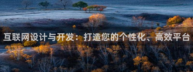先锋娱乐系统：互联网设计与开发